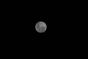 20071026_223131.jpg
875.59 KiB - 3888 × 2592