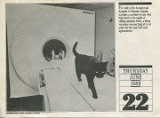 Sunnybrook Hospital Cat Scan.jpg
88.91 KiB - 668 × 495